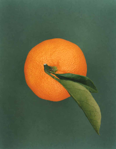 第45回デザインサロントーク開催のお知らせ