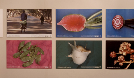 第295回デザインギャラリー1953「デザイナーと企業シリーズ27 秋山晶・細谷巌とキューピーマヨネーズ」