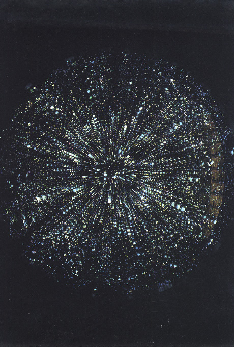 第378回デザインギャラリー1953「ヤマザキミノリのライトアート展 APLYSIA」