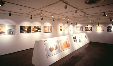 第492回デザインギャラリー1953「1994年度第62回毎日広告デザイン賞展」