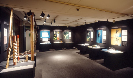 第546回デザインギャラリー1953「BIONICS --BIRUTA KRESLINGの進化の折り紙--」