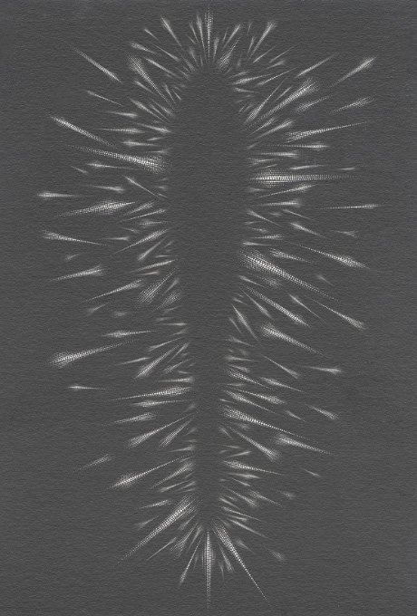 第568回デザインギャラリー1953「蓮見智幸［点からの視点］展」