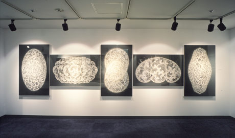 第568回デザインギャラリー1953「蓮見智幸［点からの視点］展」