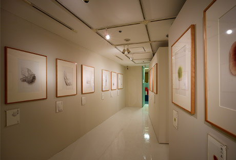 第672回デザインギャラリー1953企画展「具現する眼|水谷嘉孝イラストレーション展」