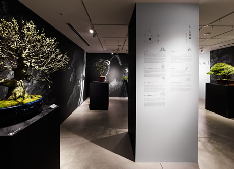 第680回デザインギャラリー1953企画展「BONSAI」